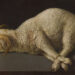 First main UK exhibition on Francisco de Zurbarán on the Nationwide Gallery » Artwork & Vintage Market