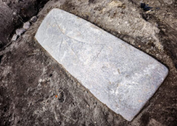 thirteenth c. cross-engraved tombstone present in Gdańsk – The Historical past Weblog