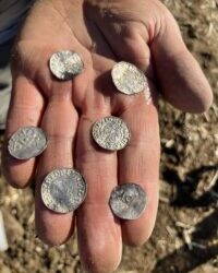 Largest Viking coin hoard in Norwegian historical past discovered – The Historical past Weblog