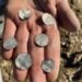 Largest Viking coin hoard in Norwegian historical past discovered – The Historical past Weblog