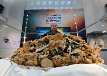 Melsonby Hoard exhibition opens at Yorkshire Museum – The Historical past Weblog