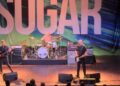 Sugar Reunite For First Present In 31 Years: Watch