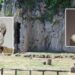 Aristotle’s Affect On Training Of Alexander The Nice – Historic Encounter Of Two Well-known Males