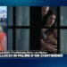 Monica Bellucci returns to Cannes for darkish thriller 'The Birthday Celebration'