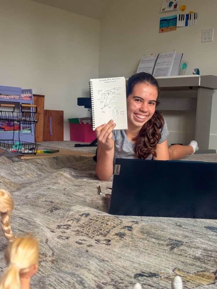 ninth Grade Homeschool Excessive Faculty Planning
