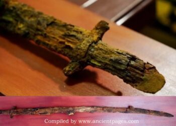 Large Thirteenth-Century Warrior’s Saber Unearthed At The ‘Eagle’s Nest’ Website, Close to Astrakhan