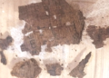 Archaeologists Uncover Historical Egyptian Mummy Buried with Pages from Homer’s Iliad: When Literature Guided Souls By the Afterlife