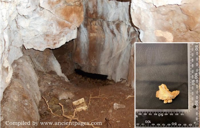 Oldest Human Stays In Northern Britain, Belonging To An 11,000-Yr-Previous Feminine Little one, Found At Heaning Wooden Bone Cave In Nice Urswick, Cumbria