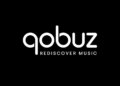Qobuz Is Instantly One of many Quickest-Rising Music Platforms