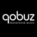 Qobuz Is Instantly One of many Quickest-Rising Music Platforms
