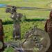 Priceless Scythian Animal-Fashion Artifacts Found In The Siberian Valley Of The Kings Supply New Insights Into A Complicated Historical Custom
