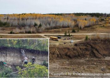 11,000-12 months-Previous Village Close to Sturgeon Lake In Canada Raises Questions About The Bering Strait Concept