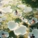 Carlos Bañón Is Redefining Structure By means of AI And Computational Design » Design You Belief — Design Every day Since 2007