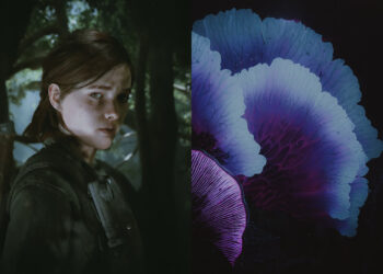 A Digital Photographer Turns Recreation Scene Into Quiet, Cinematic Storytelling » Design You Belief — Design Every day Since 2007