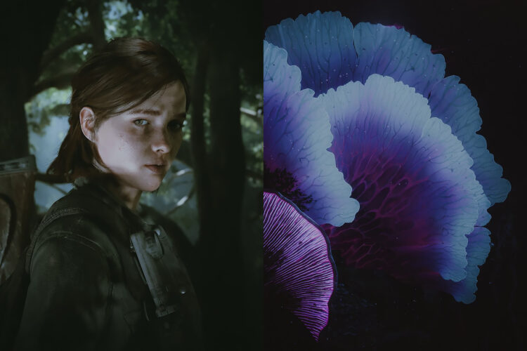 A Digital Photographer Turns Recreation Scene Into Quiet, Cinematic Storytelling » Design You Belief — Design Every day Since 2007