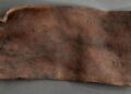 Curse pill with uncommon Greek inscription discovered within the Netherlands – The Historical past Weblog