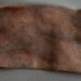 Curse pill with uncommon Greek inscription discovered within the Netherlands – The Historical past Weblog