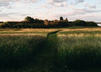 Have a Pretty (Lengthy) Weekend.