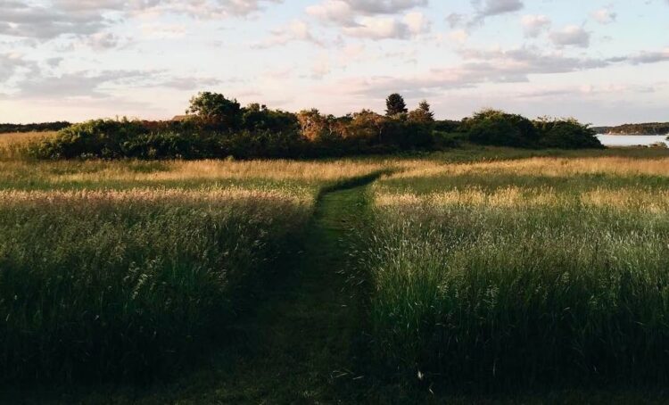 Have a Pretty (Lengthy) Weekend.