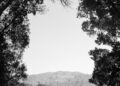 “Everlasting Return” by Photographer Benny Younger