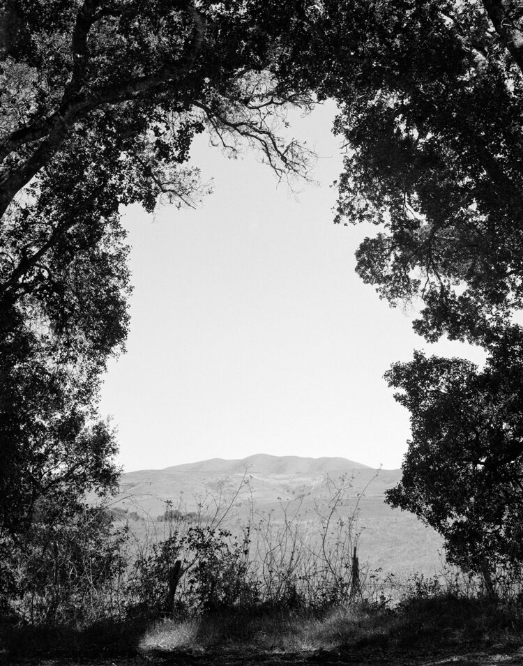 “Everlasting Return” by Photographer Benny Younger