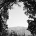 “Everlasting Return” by Photographer Benny Younger