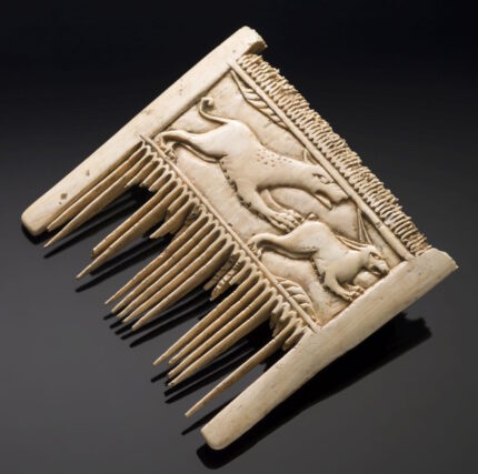 Uncommon Ivory comb returns to Westphalia for exhibition – The Historical past Weblog