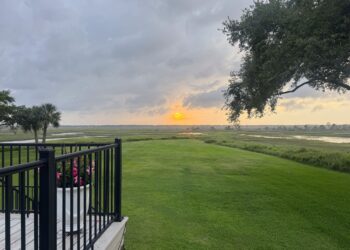 A Household Week at Sea Island