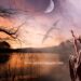 Amergin: First Druid And ‘Wondrously Born’ Son Of Mil, Founder Of Poetry, Was Decide In Irish Mythology