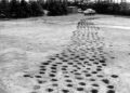 Mysterious 2,500-Yr-Outdated Holes Scattered All Over Denmark Investigated By Archaeologists