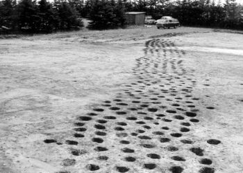 Mysterious 2,500-Yr-Outdated Holes Scattered All Over Denmark Investigated By Archaeologists