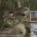 Hidden In The Jungle – Intact Historical Maya Metropolis Minanbé Found In The Calakmul Biosphere Reserve, Campeche, Mexico