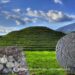 Secrets and techniques Of Historic Jalisco – 334 Uncommon Archaeological Artifacts Recovered By INAH