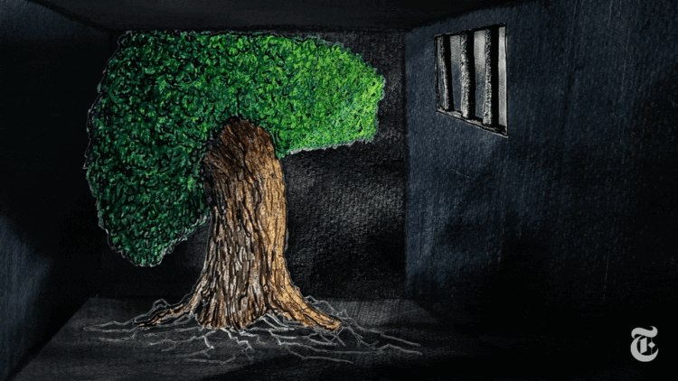 A Poetic Brief Movie Animates the Counterproductive Forces of Incarceration — Colossal