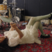 Bedouine Shares New Single “One Factor Proper”: Hear
