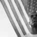8 New Songs Out In the present day to Hear To: Vince Staples, Beth Orton, and Extra