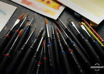 A Evaluate of Da Vinci Go Artificial Journey Brushes