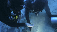 Gold jewellery, signet ring discovered on Byzantine shipwreck – The Historical past Weblog