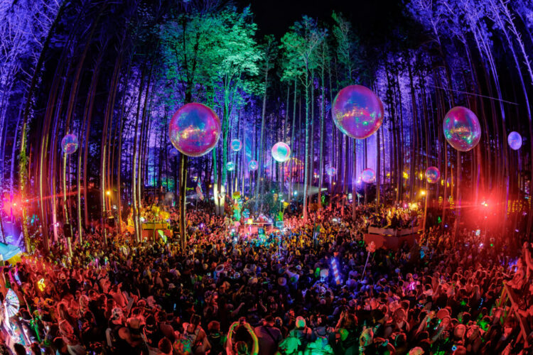 Loss of life Certificates Confirms New child Discovered at Electrical Forest Pageant Was a Lady