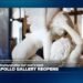 D. Rykner says the Louvre must be 'refurbished', Macron's large undertaking is 'ineffective and costly'