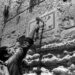 Preventing erasure | Eurozine