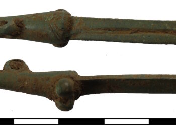 Phallus fingernail cleaner present in Gloucestershire – The Historical past Weblog