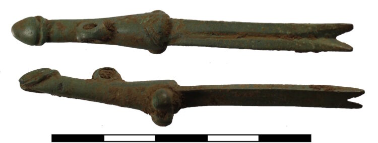 Phallus fingernail cleaner present in Gloucestershire – The Historical past Weblog