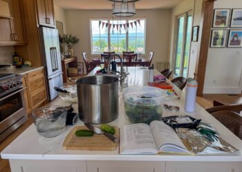 Every part I’ve Discovered About Canning Pickles