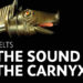 Hear the Haunting Sound of an Historical Celtic Battle Trumpet: Silent for two,000 Years, It Now Sounds Once more