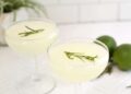 Basic Gimlet Cocktail – A Stunning Mess