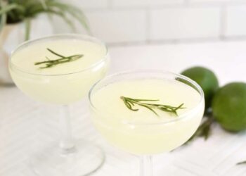 Basic Gimlet Cocktail – A Stunning Mess