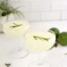 Basic Gimlet Cocktail – A Stunning Mess