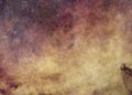 Scan Greater than 60 Million Stars within the Most Detailed Photograph of the Milky Method Ever Taken — Colossal