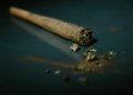 What Separates a High quality Pre-Roll From a Mediocre One